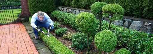 Gardening Wall Mural