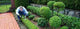 Gardening Wall Decal Design 2