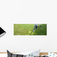Pruning Hedge Wall Decal