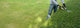 Pruning Hedge Wall Decal