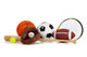 Assorted Sports Equipment on White Wall Decal