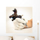 Tattooing Hand Wall Mural