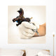 Tattooing Hand Wall Mural