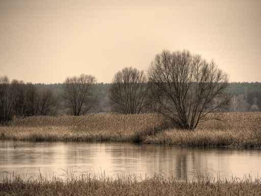 River Wall Decal Design 2