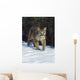 Mountain Lion Wall Mural