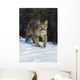 Mountain Lion Wall Mural