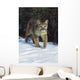Mountain Lion Wall Mural