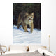 Mountain Lion Wall Mural