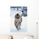 Siberian Tiger Running In The Snow Wall Mural