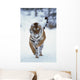 Siberian Tiger Running In The Snow Wall Mural