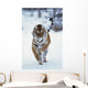 Siberian Tiger Running In The Snow Wall Mural