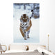 Siberian Tiger Running In The Snow Wall Mural