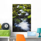 Great Smoky Mountains National Park, Tennessee Of America Wall Mural