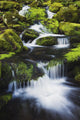 Great Smoky Mountains National Park, Tennessee Of America Wall Mural