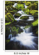 Great Smoky Mountains National Park, Tennessee Of America Wall Mural