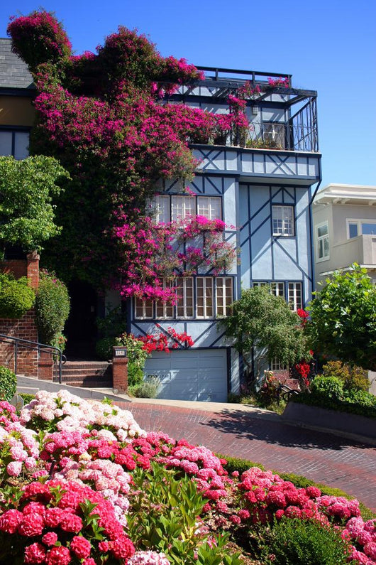 Lombard Street San Francisco Wall Mural