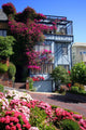 Lombard Street San Francisco Wall Mural