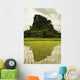 A Rice Field In Asia Wall Mural