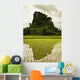 A Rice Field In Asia Wall Mural