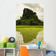 A Rice Field In Asia Wall Mural