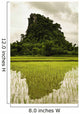 A Rice Field In Asia Wall Mural
