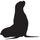 Pinniped Silhouette Sea Lion Wall Decal