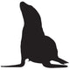 Pinniped Sea Lion Seal Wall Decal