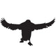 Black Puffin Silhouette Wall Decal