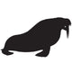 Walrus Silhouette Vector Graphics Wall Decal
