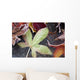 Autumn Colored Leaves Frozen In A Creek Wall Mural