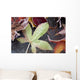 Autumn Colored Leaves Frozen In A Creek Wall Mural