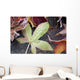 Autumn Colored Leaves Frozen In A Creek Wall Mural