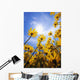 Yellow Flowers Wall Mural