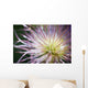 Oregon Of America Wall Mural