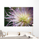 Oregon Of America Wall Mural