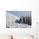 Trees Covered In Snow Wall Mural