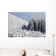 Trees Covered In Snow Wall Mural