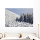 Trees Covered In Snow Wall Mural