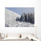 Trees Covered In Snow Wall Mural