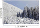 Trees Covered In Snow Wall Mural