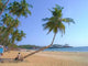 Goa Beach Wall Decal Design 2