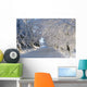 Trees Lining The Road In Winter Wall Mural