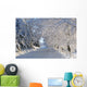 Trees Lining The Road In Winter Wall Mural