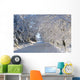 Trees Lining The Road In Winter Wall Mural