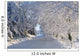 Trees Lining The Road In Winter Wall Mural