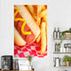 Hot Dog with Fries Wall Mural