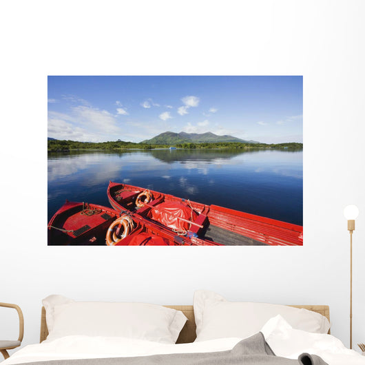 Killarney, County Kerry, Munster, Ireland Wall Mural