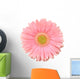 Pink Gerbera Flower Wall Decal