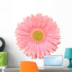 Pink Gerbera Flower Wall Decal