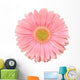 Pink Gerbera Flower Wall Decal